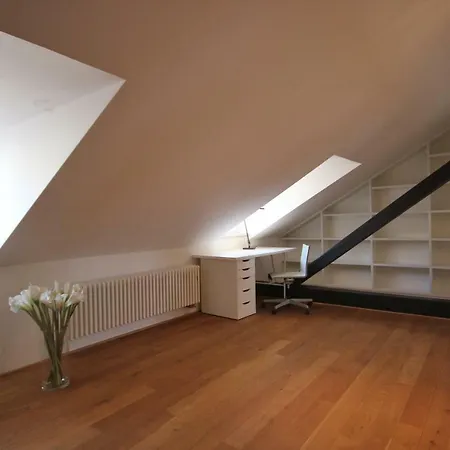 Castle View With Air Conditioning Apartment Prague