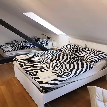 Castle View With Air Conditioning Apartment Prague